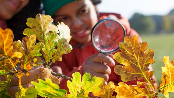 Child and parent looking at autumn leaves with magnifying glass