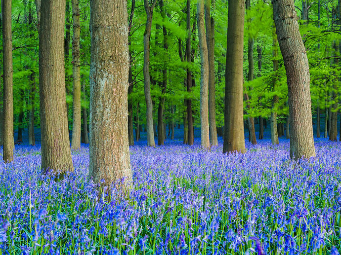 Umbraco.Cms.Infrastructure.PublishedCache.Property