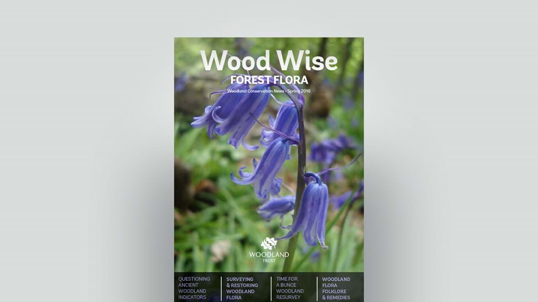 Cover of Wood Wise Spring 2018 - forest flora