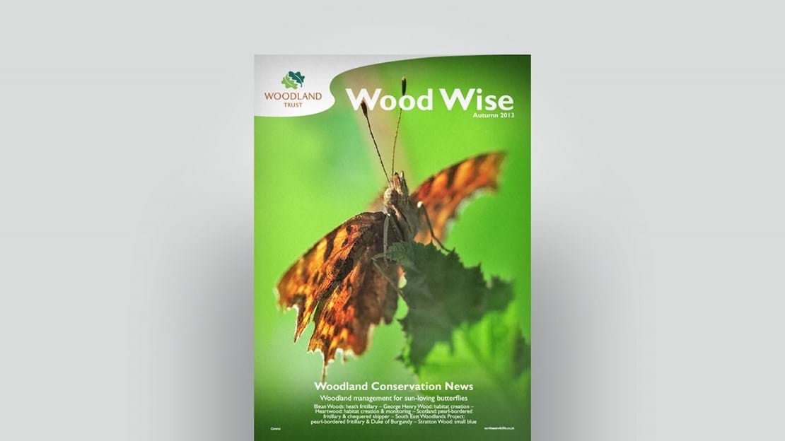 Cover of Wood Wise Autumn 2013 - butterflies