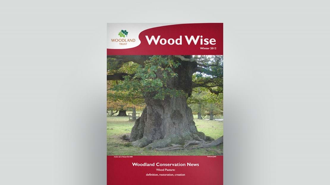 Cover of Wood Wise Winter 2012 - wood pasture