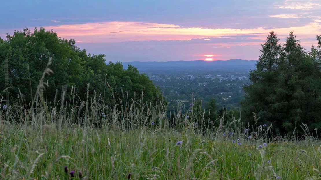 View over town at sunset, Lineover Wood