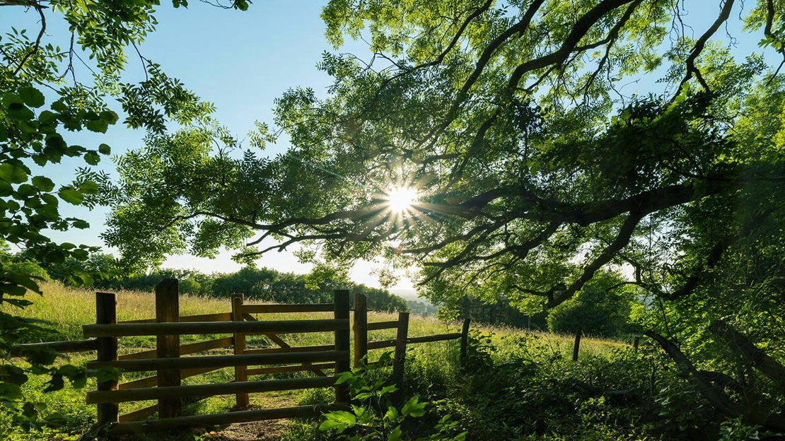 Kissing gate, Lineover Wood