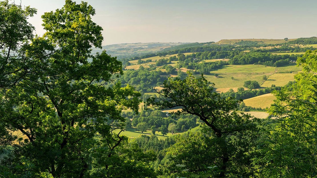 View over countryside from Lineover Wood