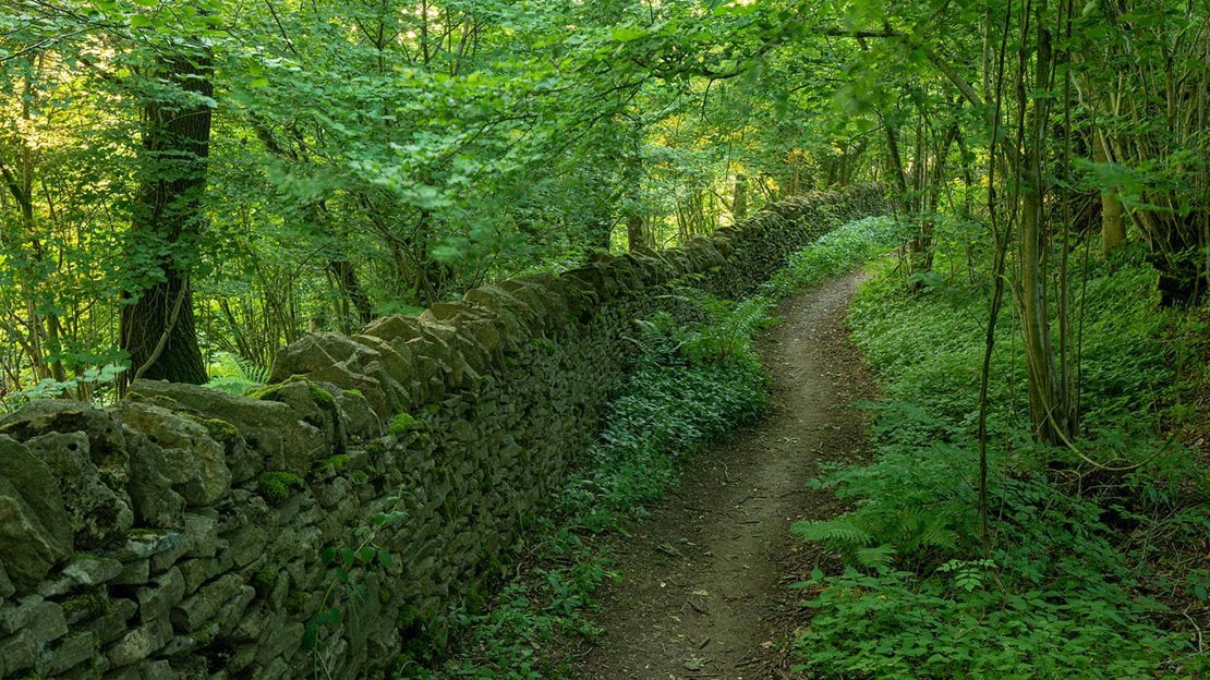 Stone wall alongside path, Lineover Wood