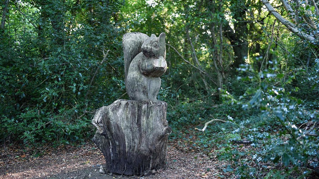 Carved wooden squirrel, Prehen Wood