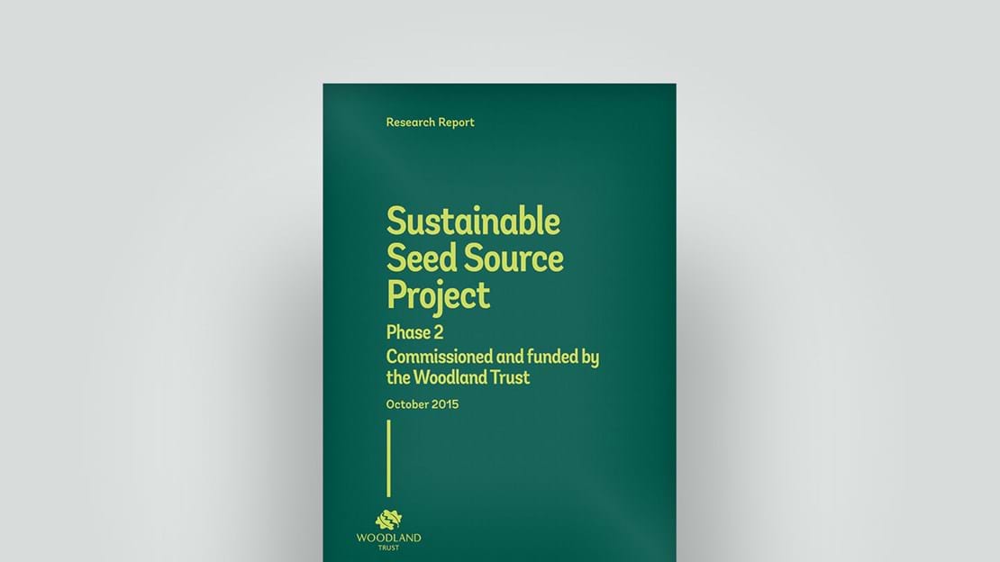 Sustainable seed project report, October 2015