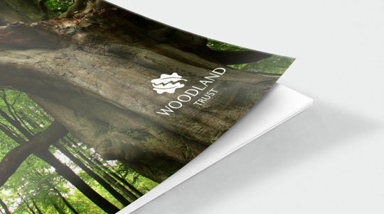 Ancient woodland report front cover