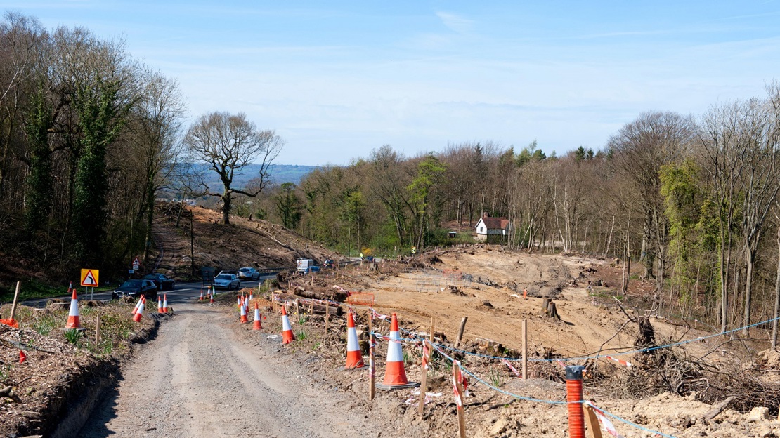 Tree stumps scattered across bare land surrounded by remaining woodland and traffic cones