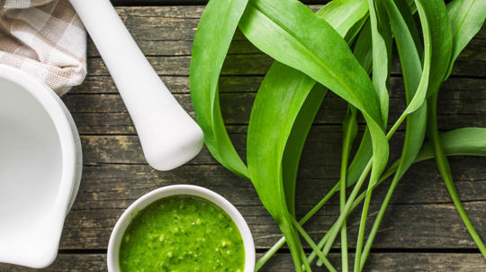 Wild garlic pesto with pestle and fresh leaves
