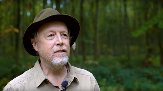 Bearded man wearing a hat in woodland faces camera