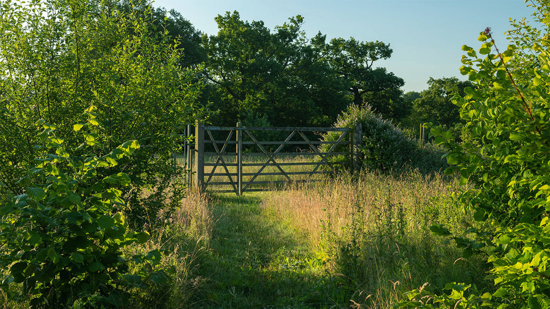 Entrance gate, Theydon Bois
