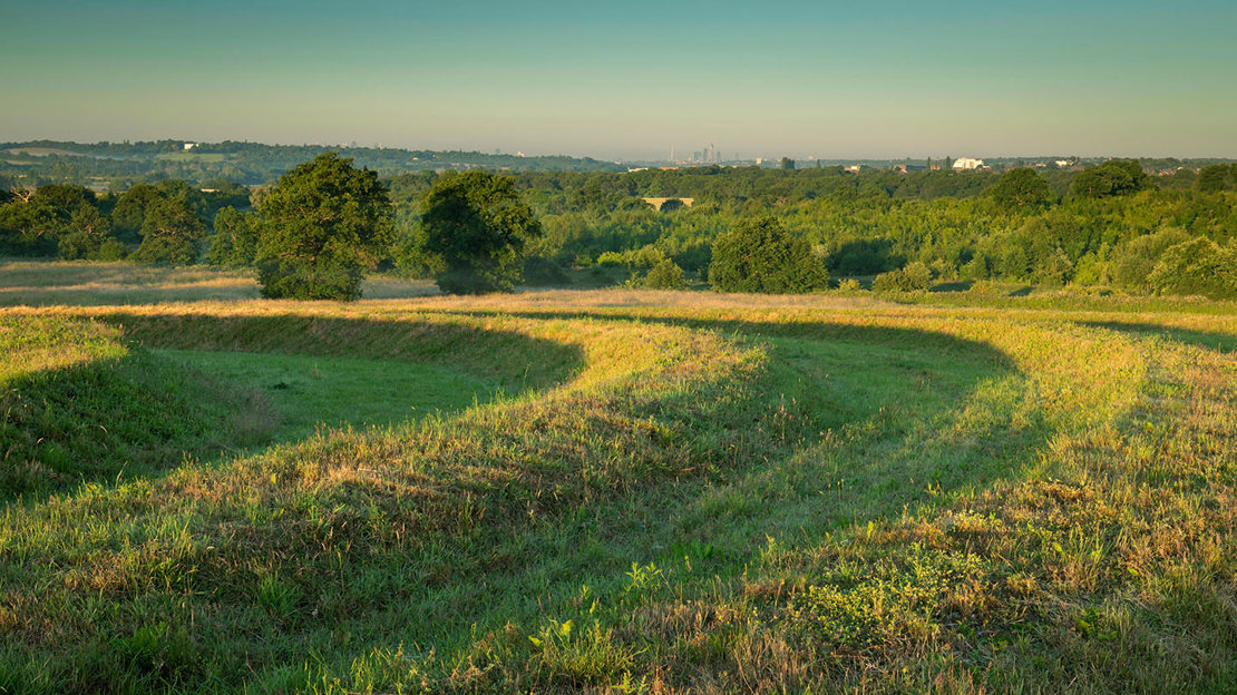 Explore the spiralling paths of the giant earthwork, Theydon Nois