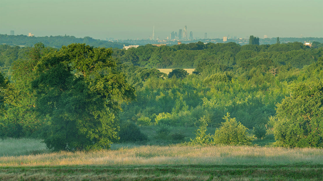 View of London on the horizon from Theydon Bois
