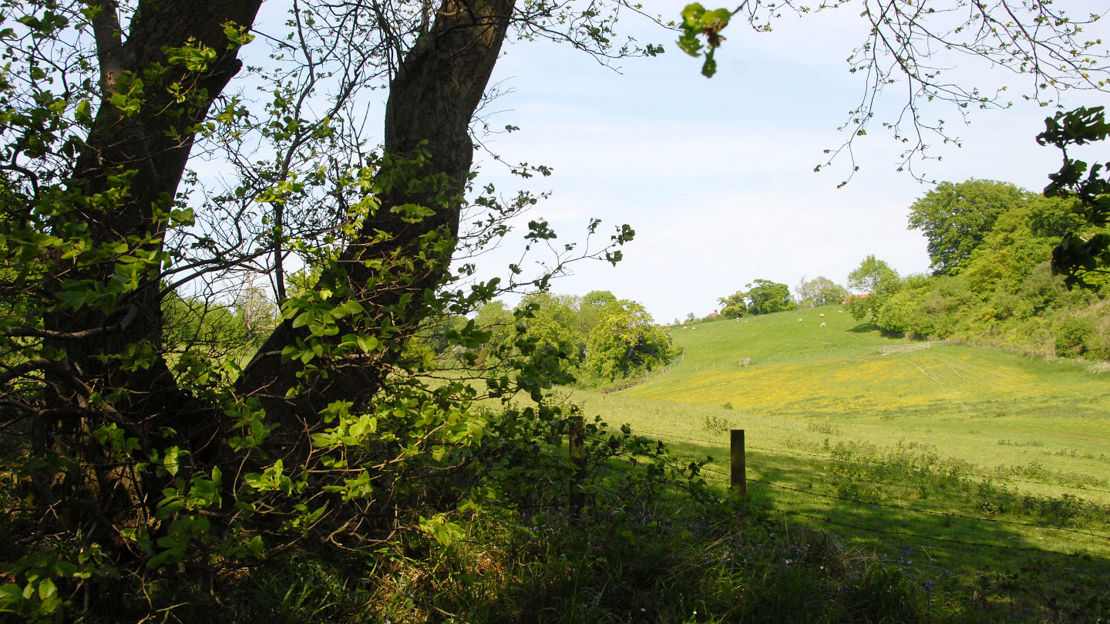 Hucking Estate, Kent