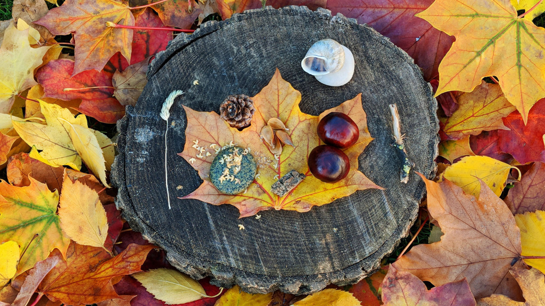 Autumn fairy tea party on tree stump