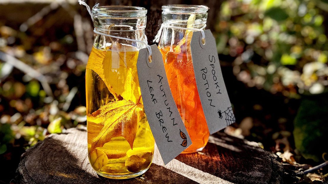 Two woodland potions on a tree stump