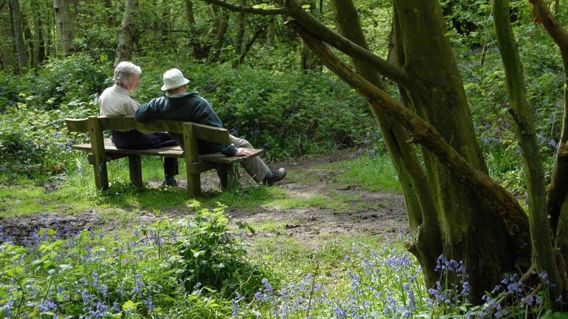 Couple on a bench among bluebells at Hucking Esate