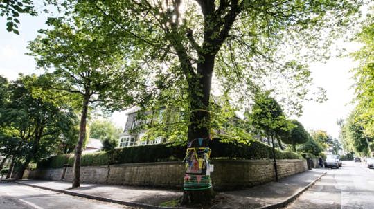 Bunting and posters decorate a tree on the corner of two residential streets