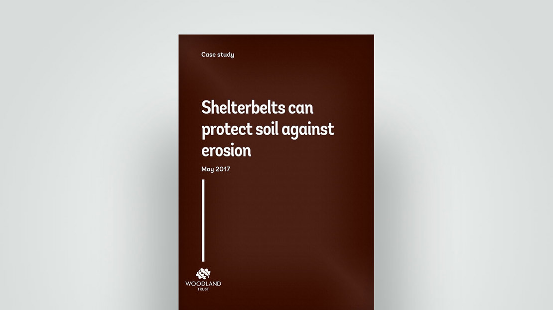 Case study: Shelterbelts Can Protect Soil Against Erosion Case study: Shelterbelts Can Protect Soil Against Erosion