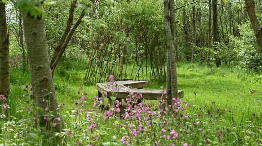 A bench surrounded by wildflowers and trees