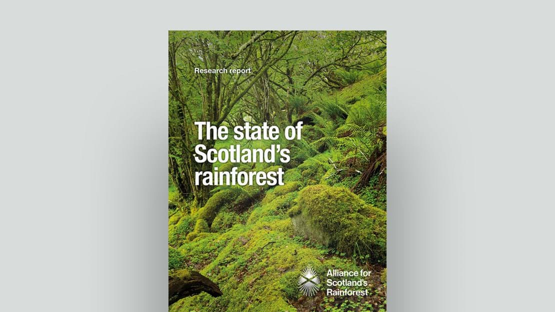 Document cover for State of Scotland's Rainforest research report