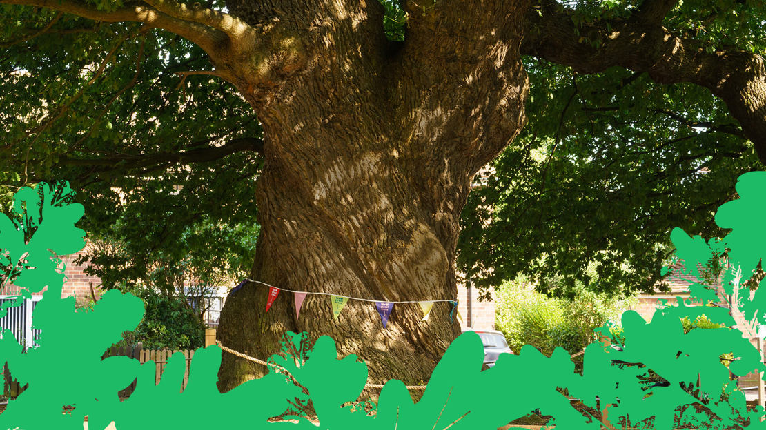 Ancient tree trunk tied with colourful bunting Ancient tree trunk tied with colourful bunting