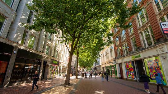 People walking down a tree-lined urban shopping street