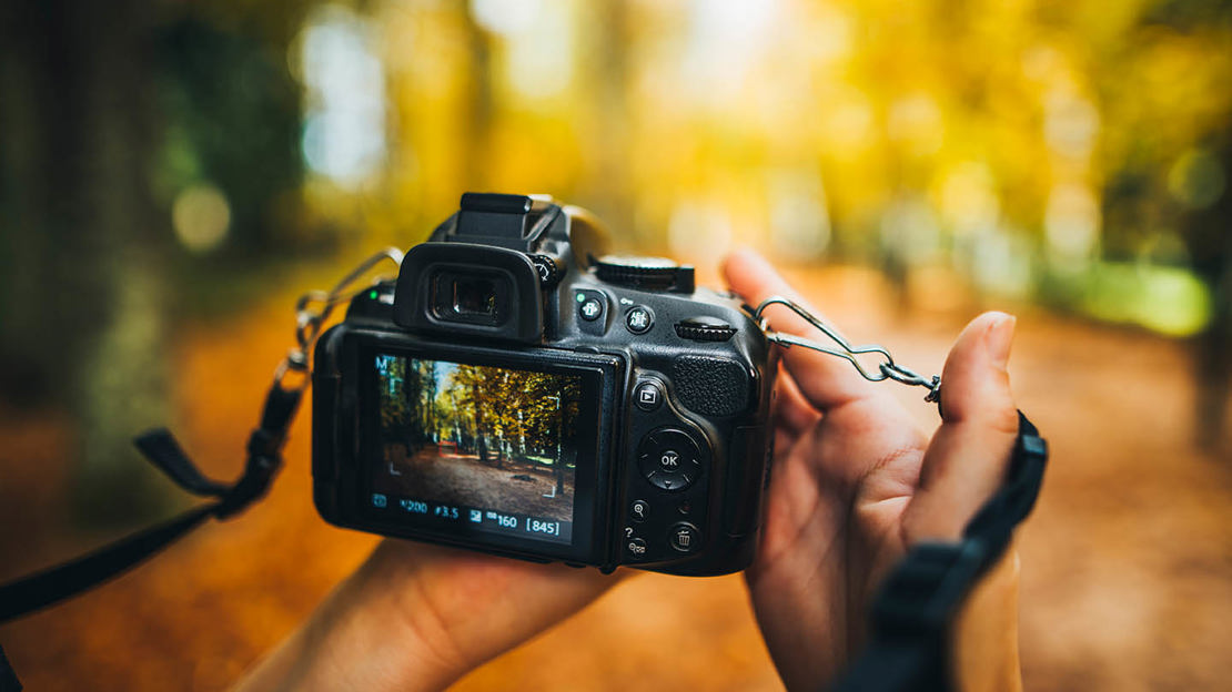 Photo being taken by digital camera in forest
