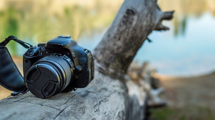Digital camera on log in wood