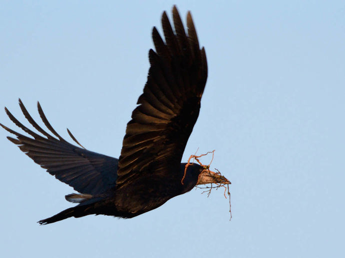 Umbraco.Cms.Infrastructure.PublishedCache.Property