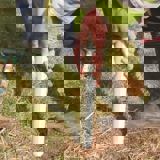 Someone pushing a tree guard into the soil over the top of the sapling and cane