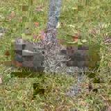 Spade pushed into the ground to make a slit perpendicular to another slit, forming a T shape