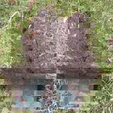 Two pieces of turf laid on a spade that has been used to lift them