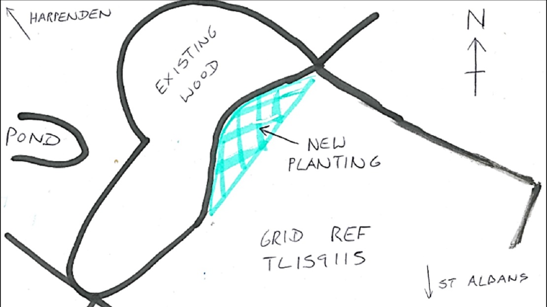 New wood site shown in handdrawn map