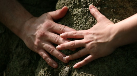 Close up of two hands meeting against a tree trunk