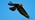 Buzzard in flight against bright blue sky