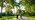 Woman walking with a child on a bicycle through a sunny park with lots of trees