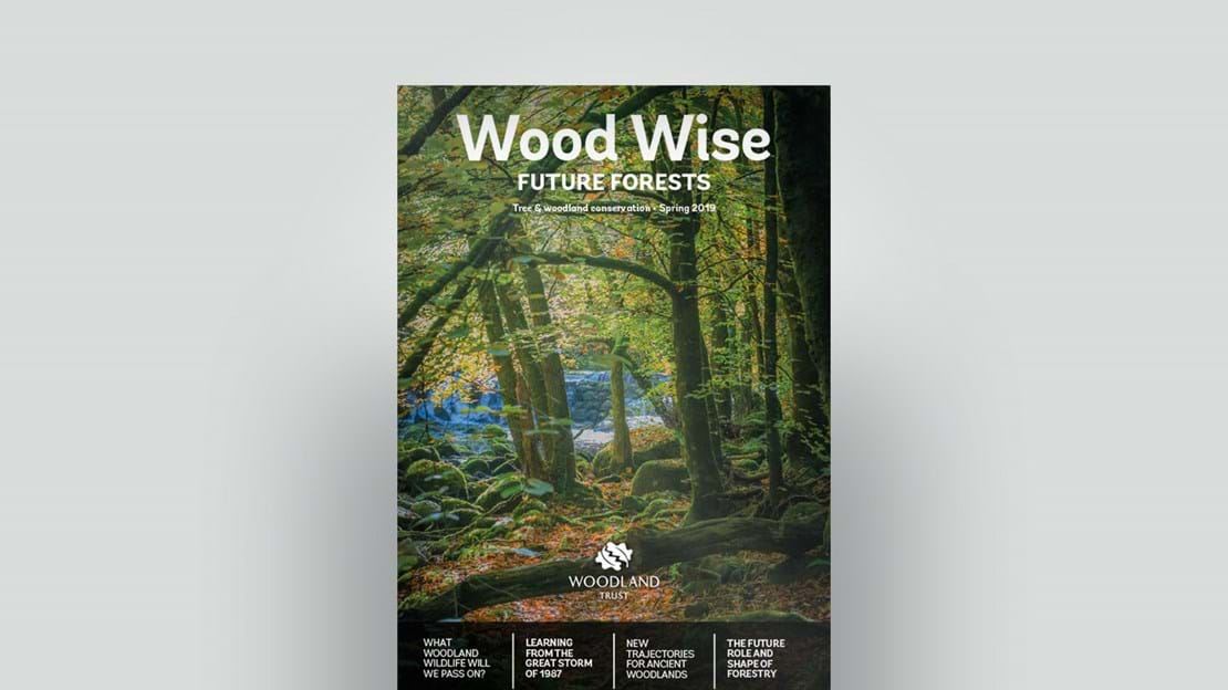 Cover of Wood Wise Spring 2019 - future forests