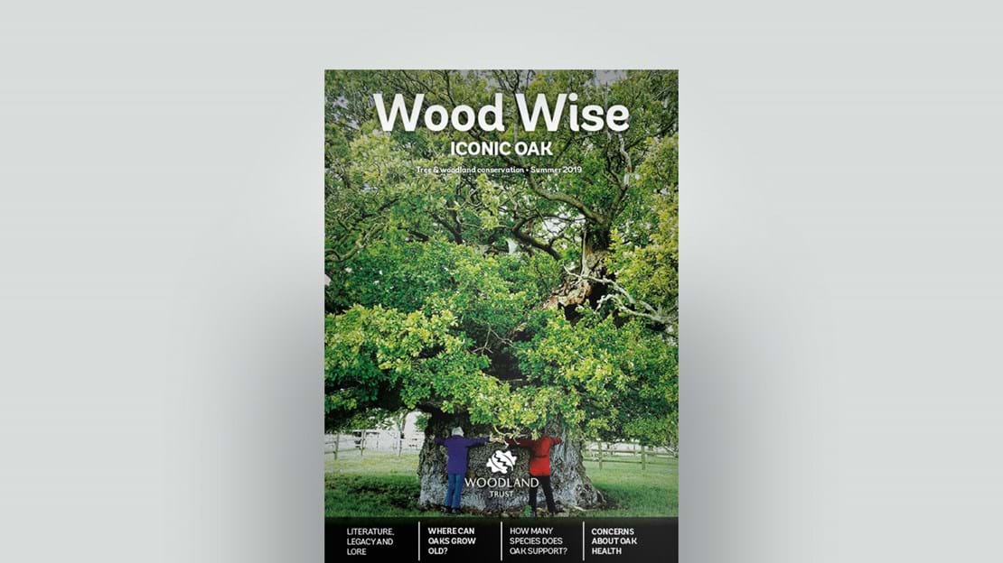 Cover of Wood Wise Summer 2019 - iconic oak