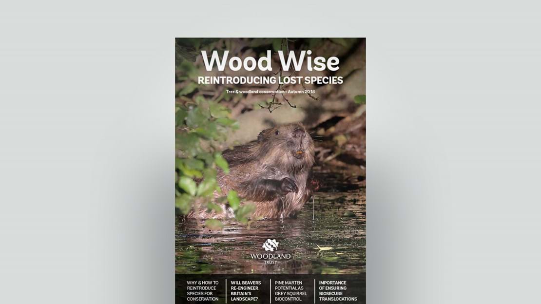 Cover of Wood Wise Autumn 2018 - reintroducing lost species