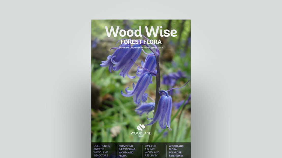 Cover of Wood Wise Spring 2018 - forest flora