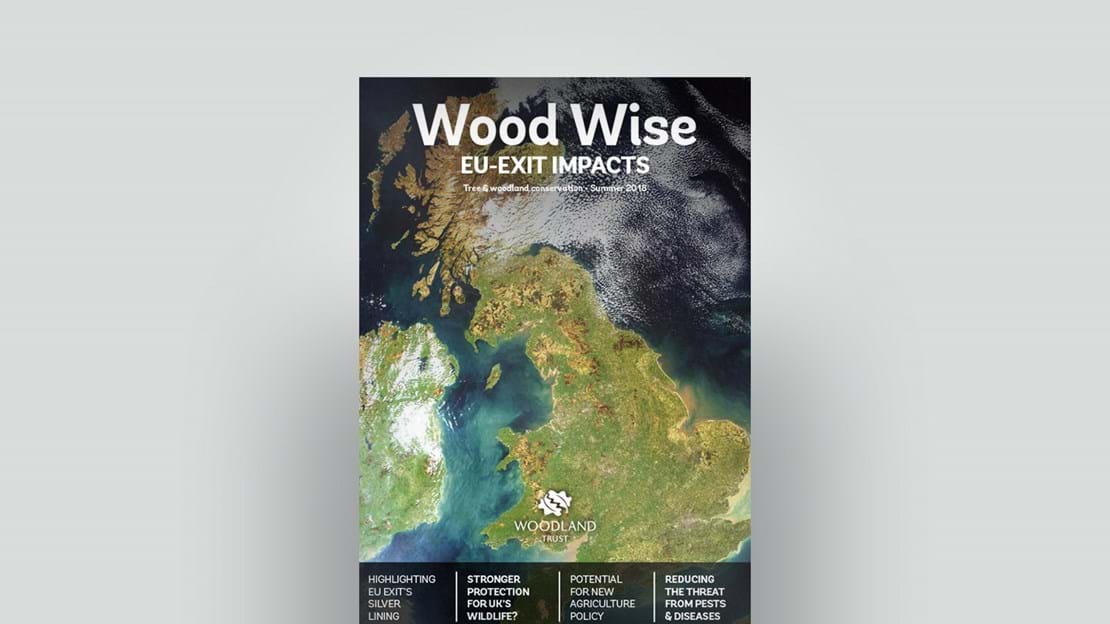 Cover of Wood Wise Summer 2018 - EU-exit impacts