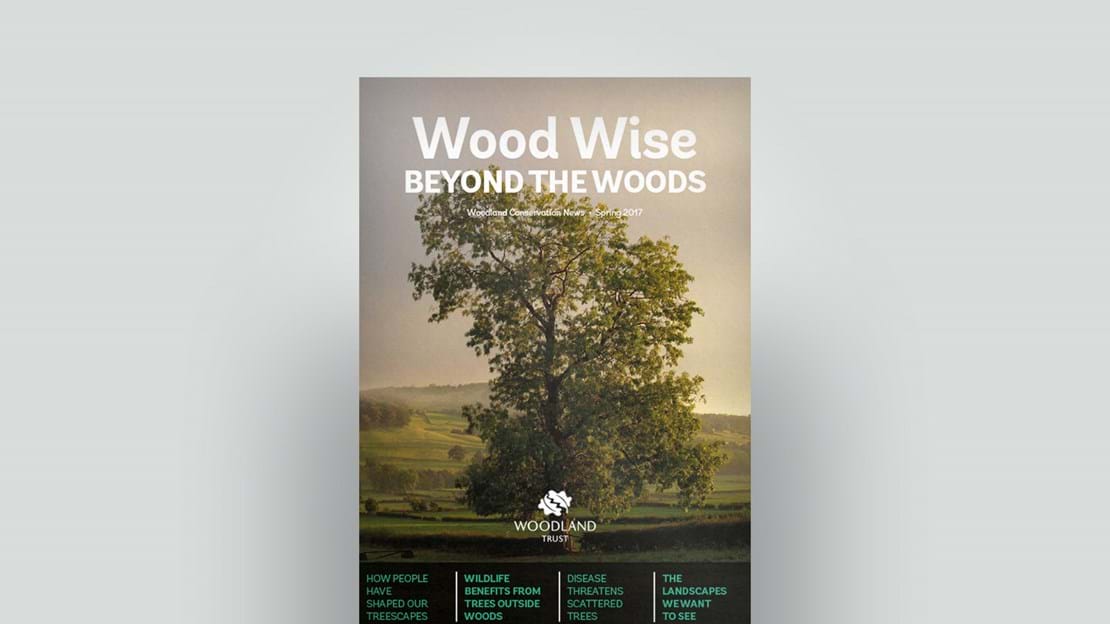 Cover of Wood Wise Spring 2017 - beyond the woods