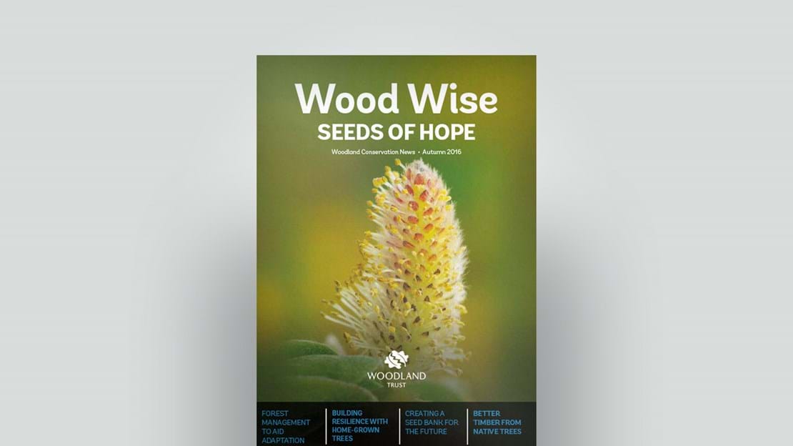 Cover of Wood Wise Autumn 2016  - seeds of hope