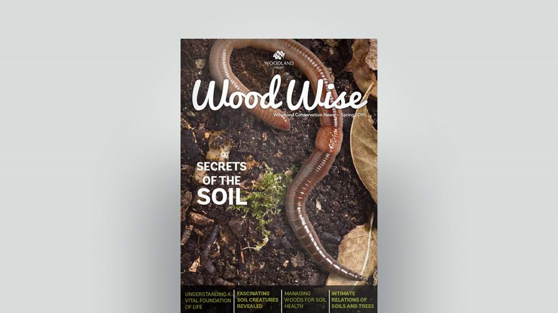 Cover of Wood Wise Spring 2016 - secrets of the soil