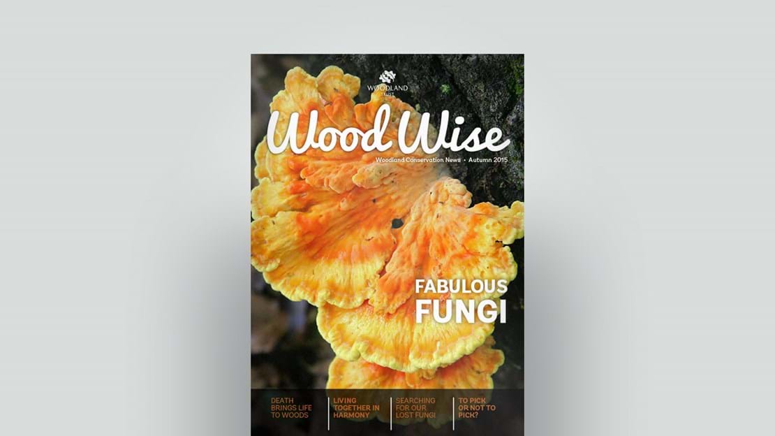 Cover of Wood Wise Autumn 2015 - fabulous fungi
