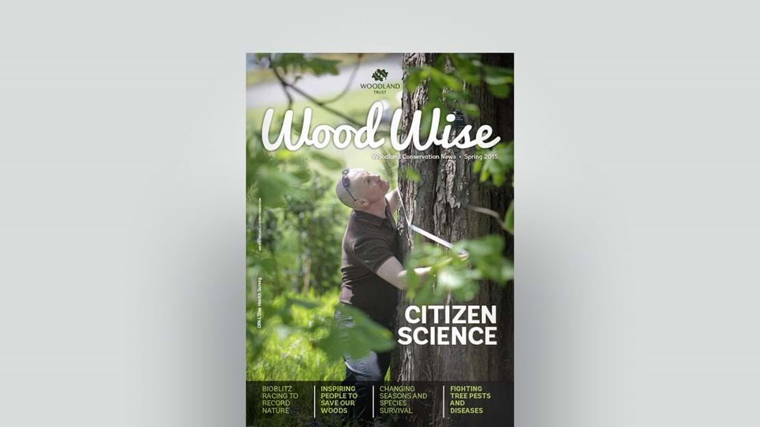 Cover of Wood Wise Spring 2015 - citizen science