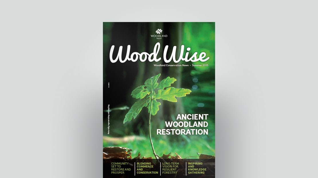 Cover of Wood Wise Summer 2015 - ancient woodland restoration