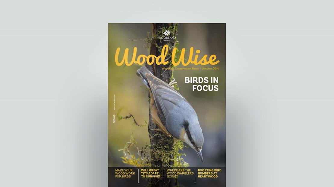 Cover of Wood Wise Autumn 2014 - birds in focus